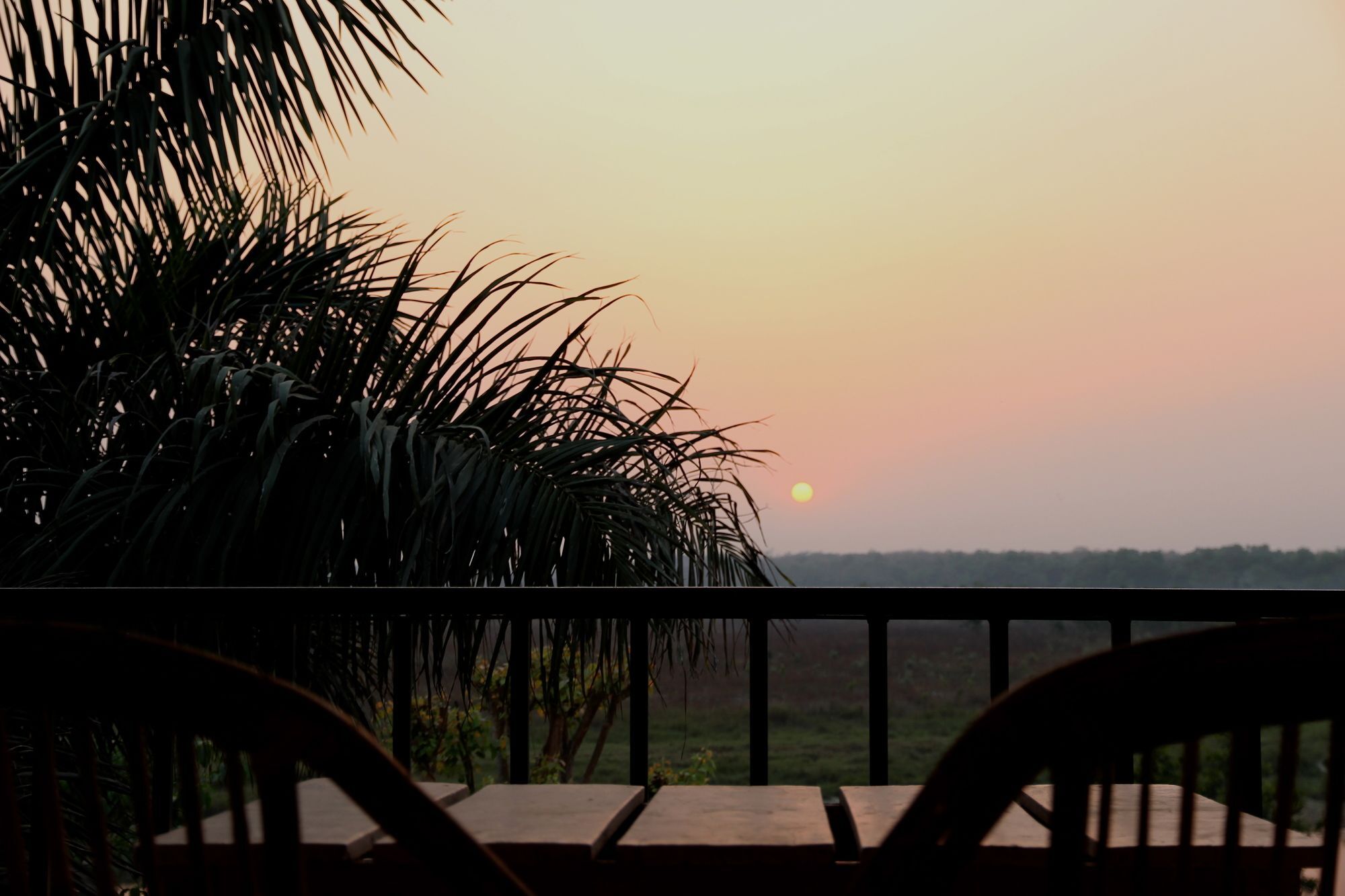 Jungle Sunset Camp Hotel Sauraha Eksteriør billede
