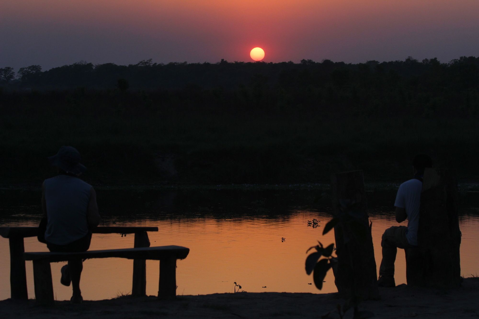 Jungle Sunset Camp Hotel Sauraha Eksteriør billede